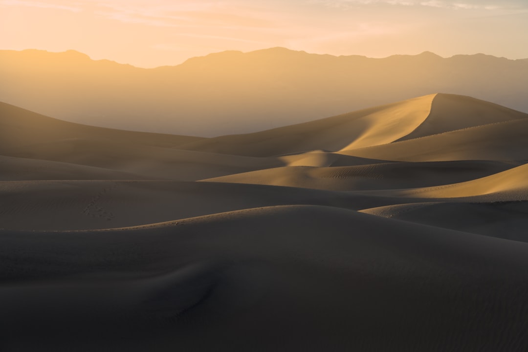 Taklamakan Desert - Golden sand dunes at sunset
