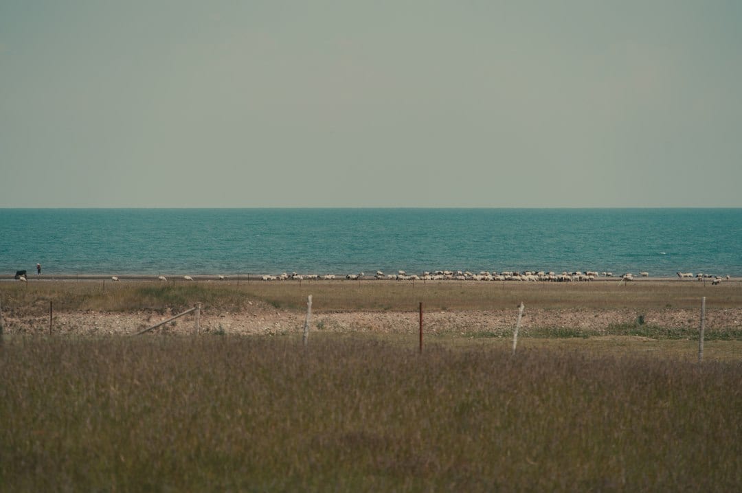 Qinghai Lake blue plateau scenery