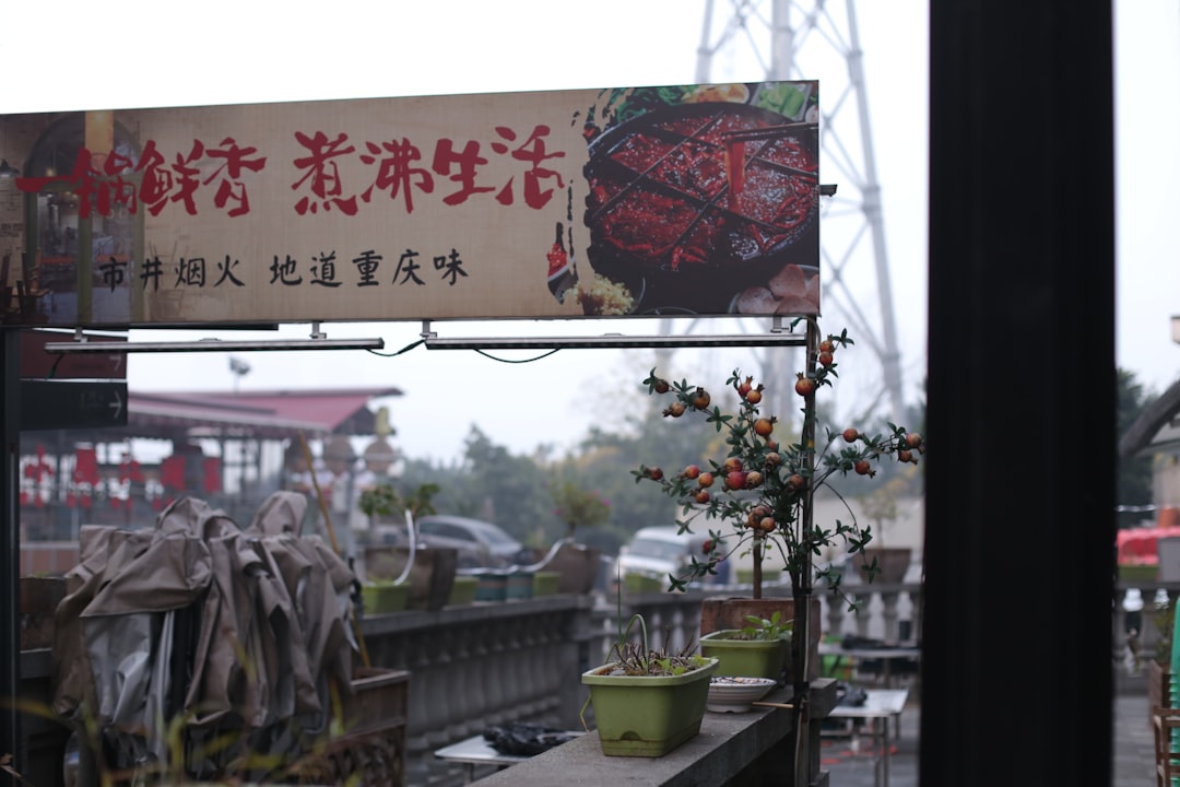 Chuan Chuan Xiang skewers