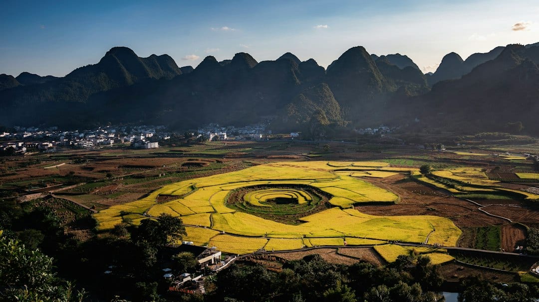 Yangshuo countryside with karst peaks and rice paddies