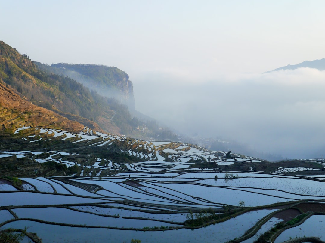 Yunnan Rice Terraces