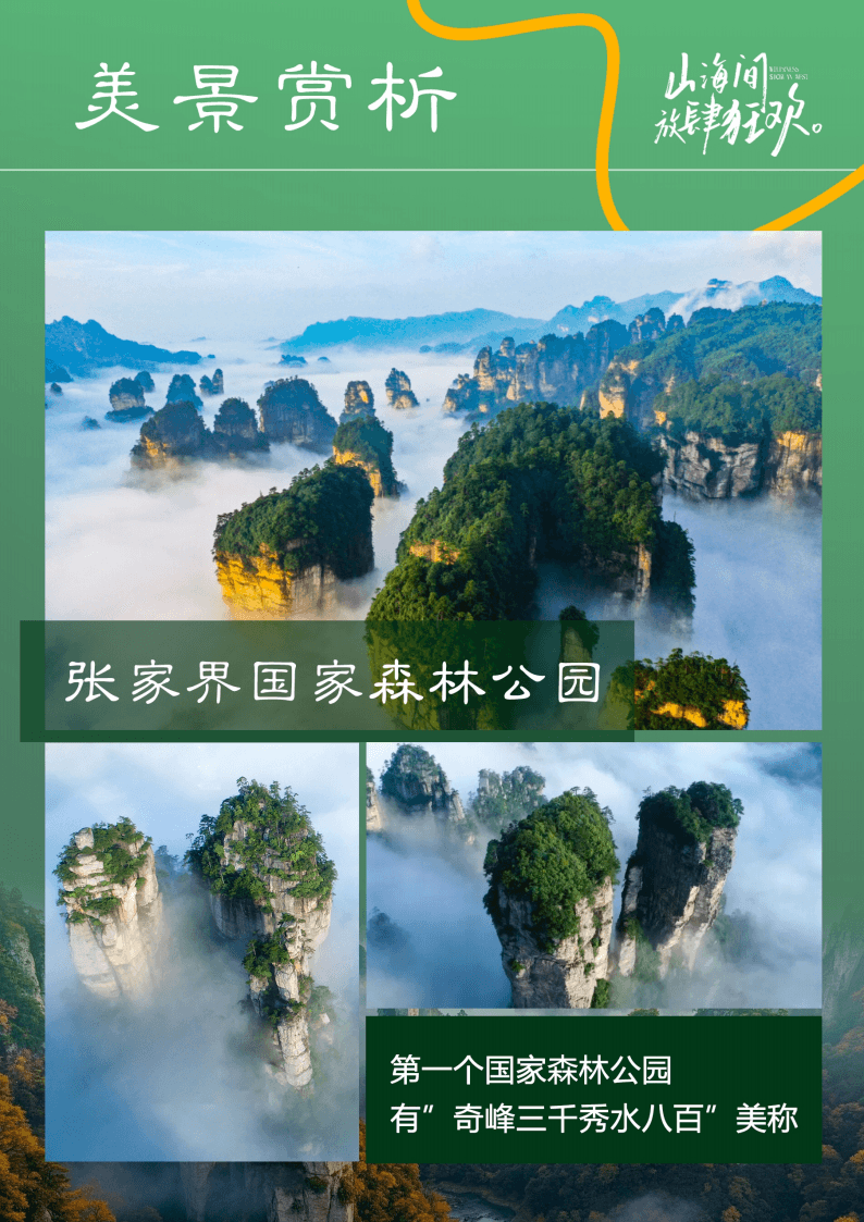 Zhangjiajie misty peaks at sunrise